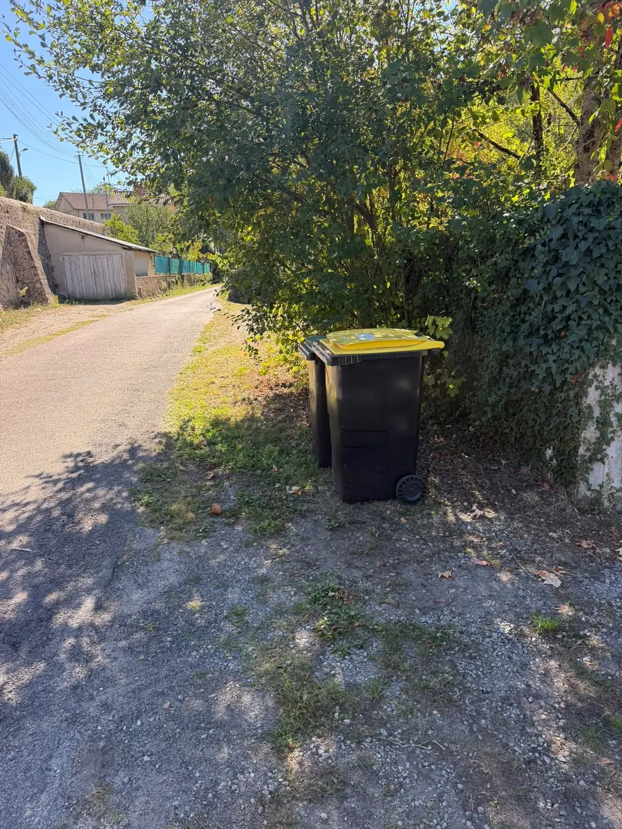A black wheelie bin with a yellow lid on the gravel by the lane, against a hedge