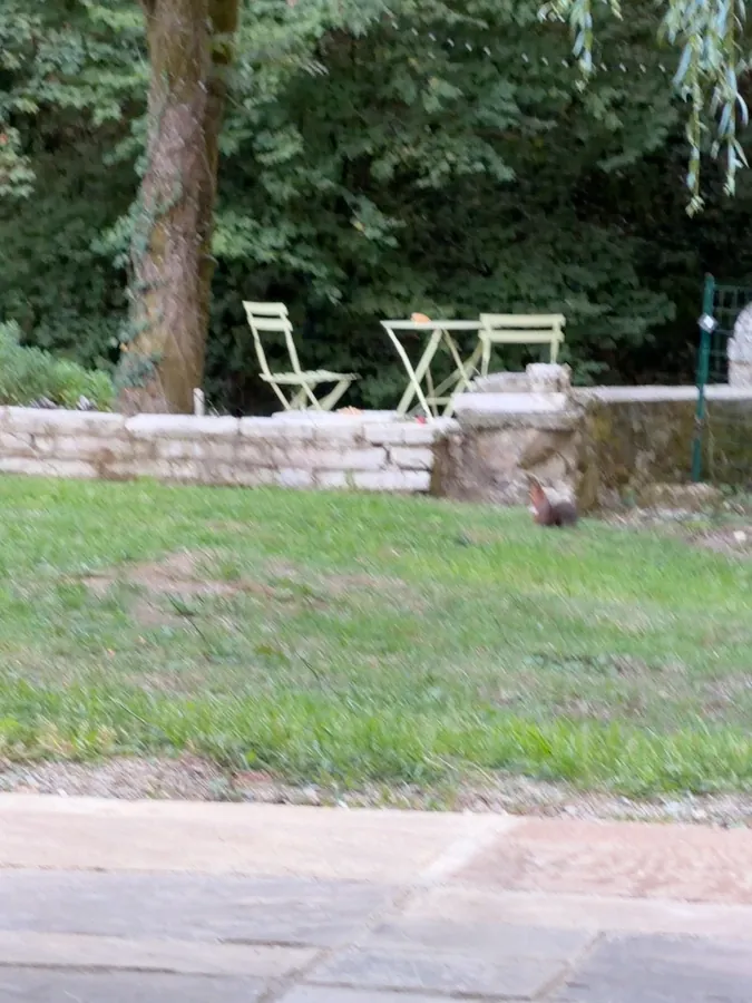 A pair of metal garden chairs and a small table on a stone terrace at the edge of the lawn, shaded by trees