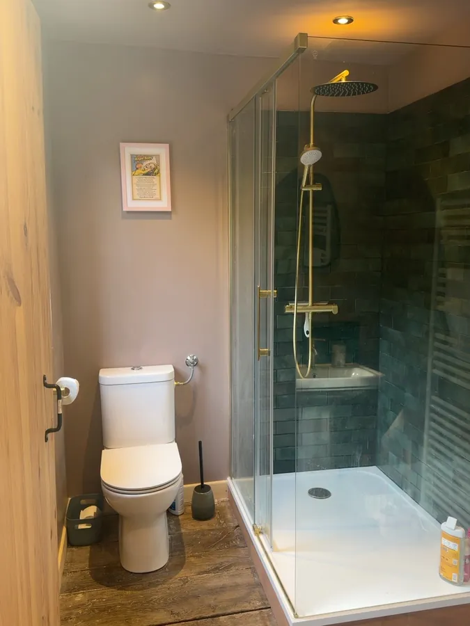 The en-suite shower room: a corner shower behind glass with brass fittings and dark tiling, beside a white toilet