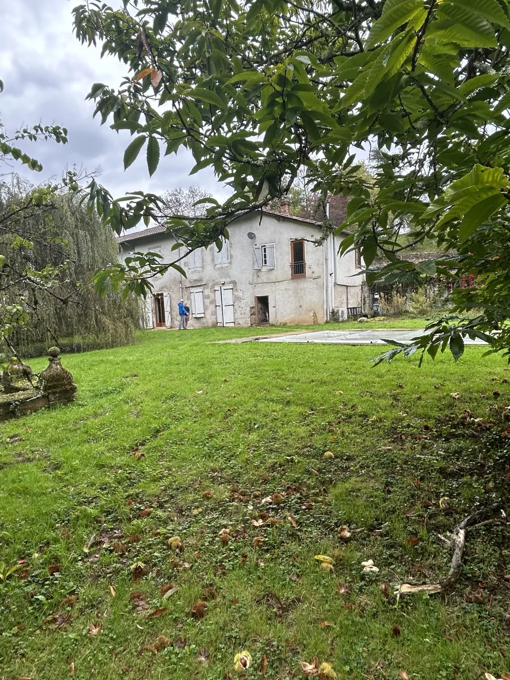The garden framed by mature trees, looking across the lawn towards the pale house