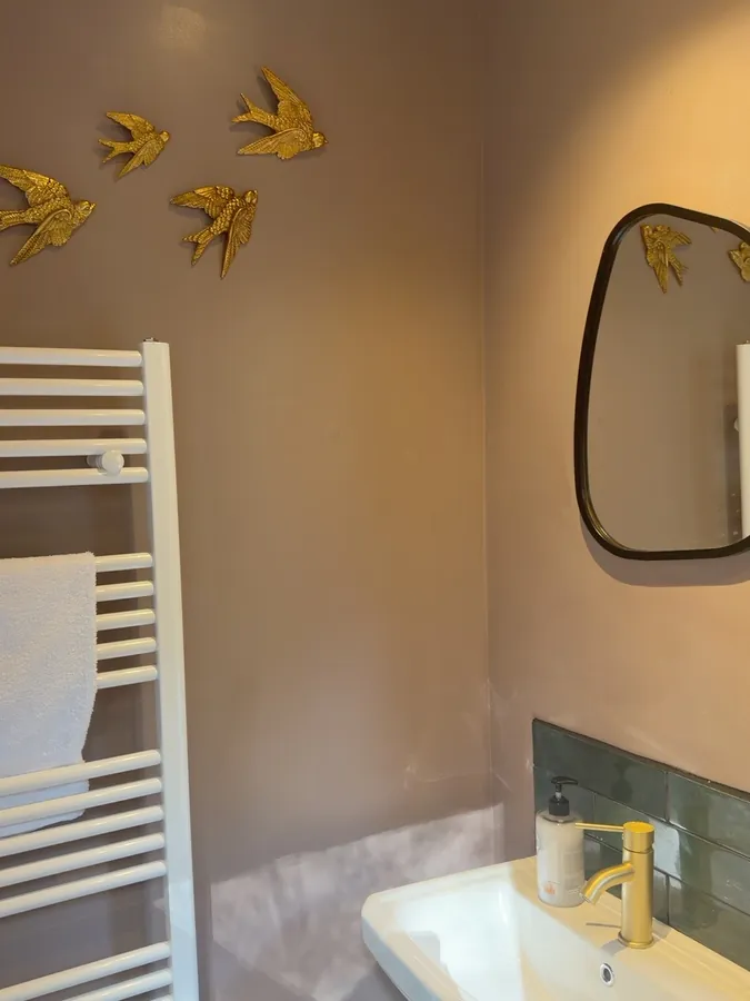 En-suite basin and mirror with a white towel radiator, and three gilded swallows mounted on the wall